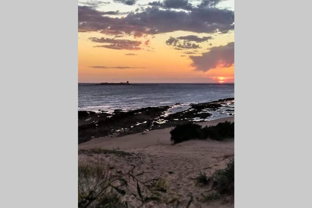Apartamento Costa Sancti-Petri La Barrosa Chiclana 奇克拉纳－德拉弗龙特拉 外观 照片